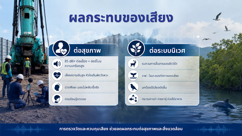 ผลกระทบของเสียงที่มีต่อสุขภาพและระบบนิเวศ